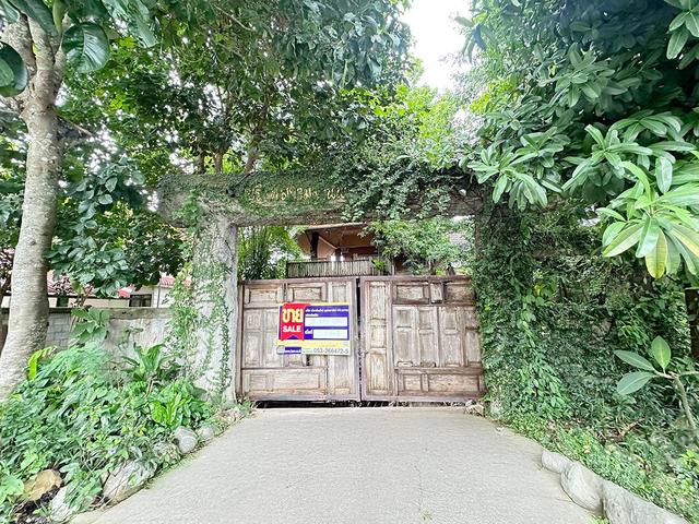 💟 บ้านเดี่ยว แม่ริม 💟