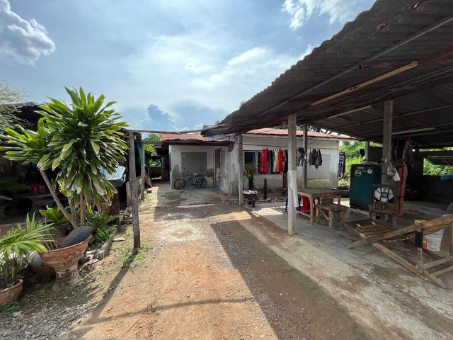 ใช่ 💟 บ้านเดี่ยว โชคชัย 💟 รูปที่ 3