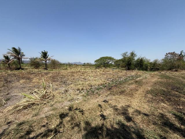 ใช่ 💟 ที่ดินเปล่า โครงการเมืองใหม่ชัยบาดาล ลพบุรี 💟 รูปที่ 2