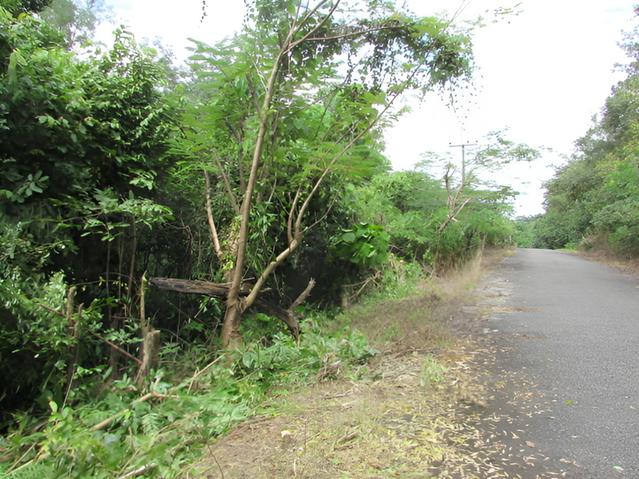 ใช่ 💟 ที่ดินเปล่า โครงการเขาชะเมาเฮลท์รีสอร์ท จันทบุรี 💟 รูปที่ 4