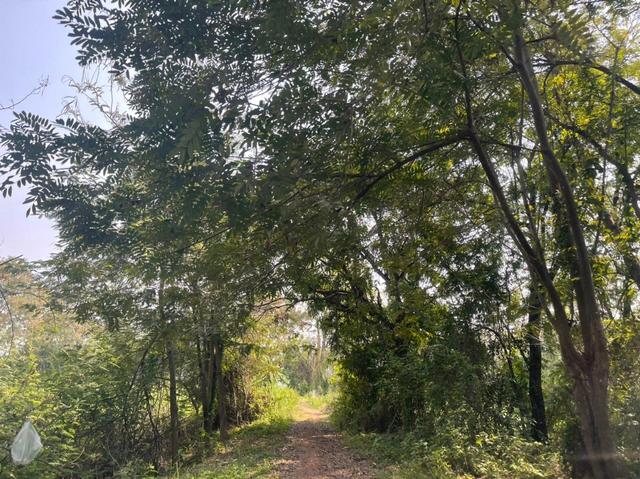 ใช่ 💟 ที่ดินเปล่า พิษณุโลก 💟 รูปที่ 4