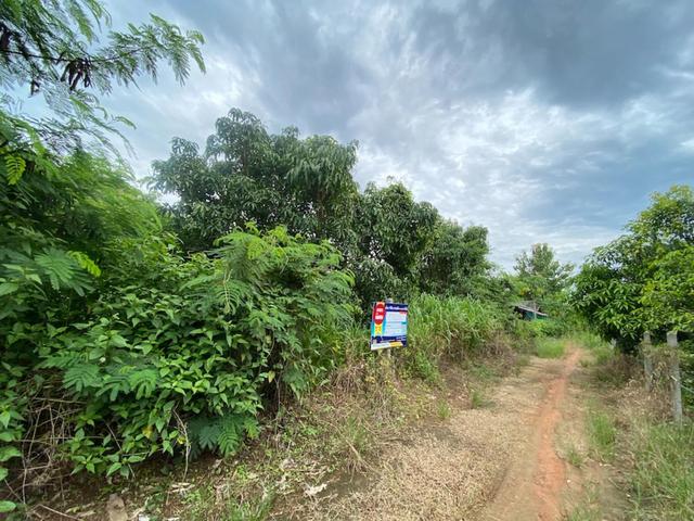 ใช่ 💟 ที่ดินเปล่า โครงการบ้านดงห้วยเย็น ลำพูน 💟 รูปที่ 4