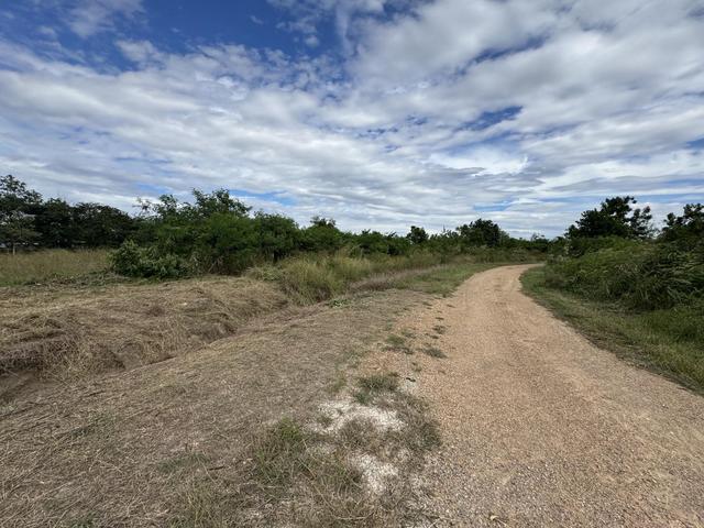 ใช่ 💟 ที่ดินเปล่า สระบุรี 💟 รูปที่ 3