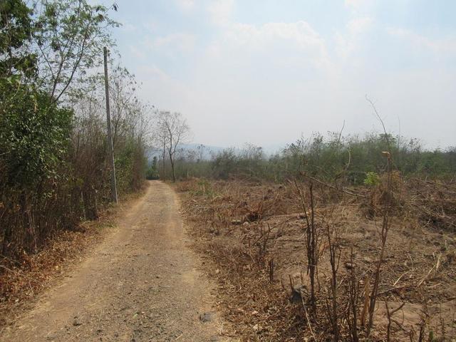 ใช่ 💟 ที่ดินเปล่า แม่ทา ลำพูน 💟 รูปที่ 4