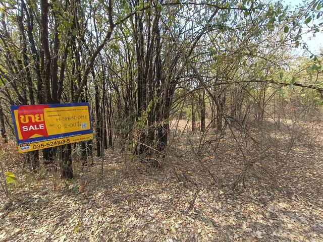 ใช่ 💟 ที่ดินเปล่า โครงการอู่ทองสักทอง สุพรรณบุรี 💟 รูปที่ 4