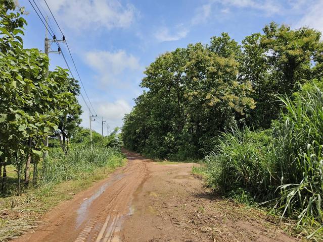 ใช่ 💟 ที่ดินเปล่า โครงการลำปางสักทอง 💟 รูปที่ 4