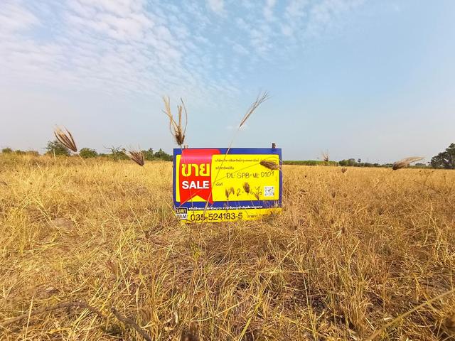 ใช่ 💟 ที่ดินเปล่า โครงการบ้านโซ้ง 💟 รูปที่ 4