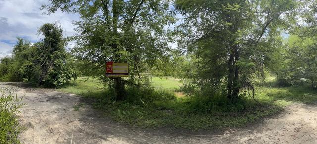 ใช่ 💟 ที่ดินเปล่า โครงการร่มฉัตรภูวิว ลำพูน 💟 รูปที่ 4