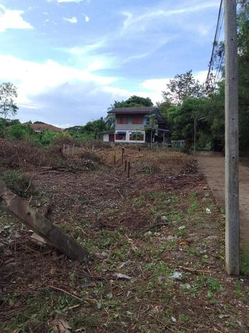 ใช่ 💟 ที่ดินเปล่า เพชรบูรณ์ 💟 รูปที่ 3