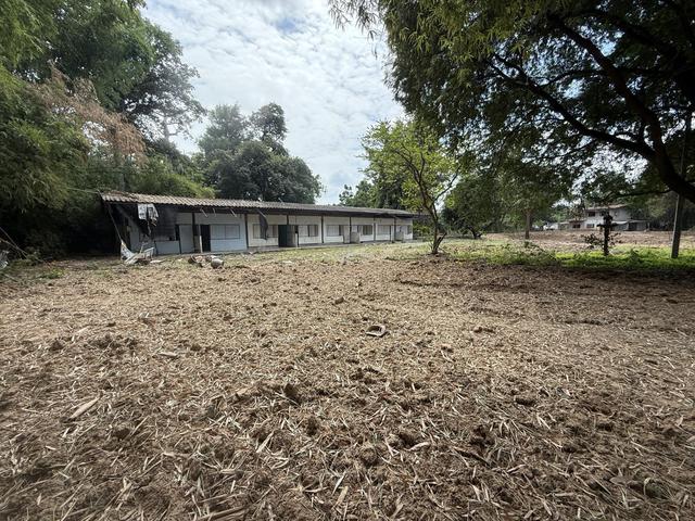 āđāļāđ ð āļāđāļēāļāđāļāļĩāđāļĒāļ§ āļŠāļēāļĄāļāļļāļ ð āļĢāļđāļāļāļĩāđ 3