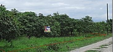 💟 ที่ดินเปล่า โครงการสวนเกษตรหริภุญชัย 2 (ปิ่นอนงค์) ลำพูน 💟