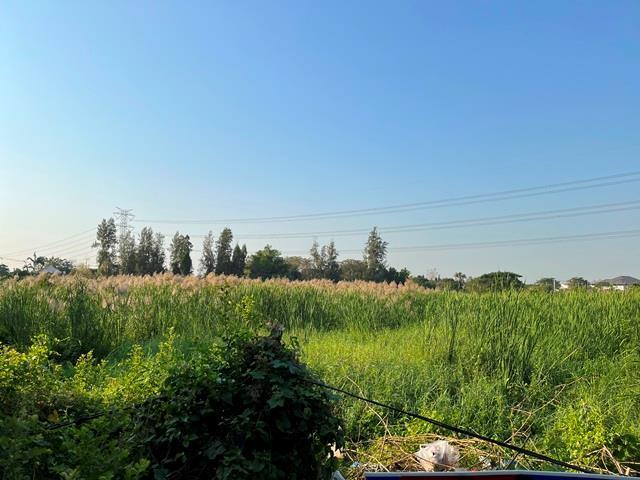 ใช่ 💟 ที่ดินเปล่า โครงการกฤษดานคร 18 พุทธมณฑลสาย 3 💟 รูปที่ 3