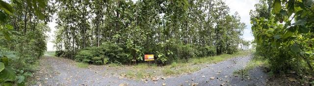 ใช่ 💟 ที่ดินเปล่า โครงการนันทวรรณ สักทองรีสอร์ท ลพบุรี 💟 รูปที่ 4