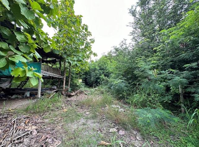 ใช่ 💟 ที่ดินเปล่า โครงการม่อนจอมทอง 2 เชียงใหม่ 💟 รูปที่ 4