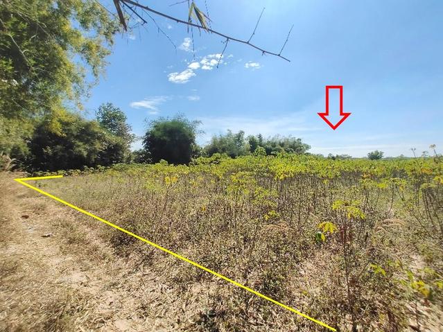 ใช่ 💟 ที่ดินเปล่า อุบลราชธานี 💟 รูปที่ 4