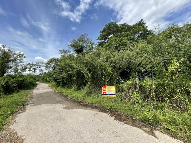 ใช่ 💟 ที่ดินเปล่า ลำพูน 💟