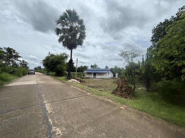 💟 บ้านเดี่ยว จอมบึง ราชบุรี 💟 รูปที่ 3