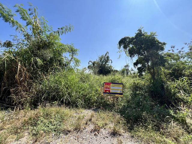 ใช่ 💟 ที่ดินเปล่า โครงการสิรีทิพย์ เชียงใหม่ 💟 รูปที่ 4