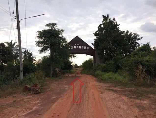 ใช่ 💟 ที่ดินเปล่า โครงการทรัพย์วังทองเรียลเอสเตท พิษณุโลก 💟 รูปที่ 4