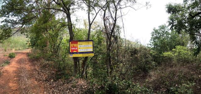 ใช่ 💟 ที่ดินเปล่า บรรพตพิสัย นครสวรรค์ 💟