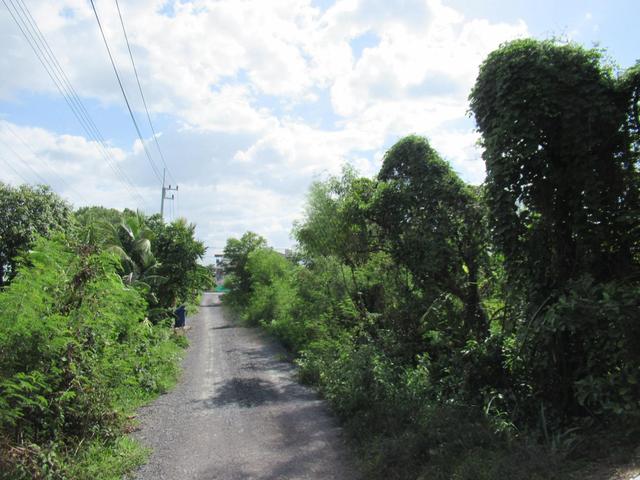 💟 ที่ดินเปล่า พุทธมณฑล-คลองโยง นครปฐม 💟 รูปที่ 4