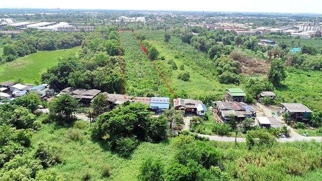 ใช่ 💟 ที่ดินเปล่า บ้านฉาง ปทุมธานี 💟 รูปที่ 4