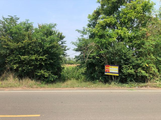 ใช่ 💟 ที่ดินเปล่า เพชรบูรณ์ 💟