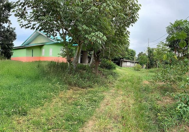 āđāļāđ ð āļāđāļēāļāđāļāļĩāđāļĒāļ§āļāļąāđāļāđāļāļĩāļĒāļ§ āļāļļāļāļĢāļāļēāļāļĩ ð āļĢāļđāļāļāļĩāđ 4