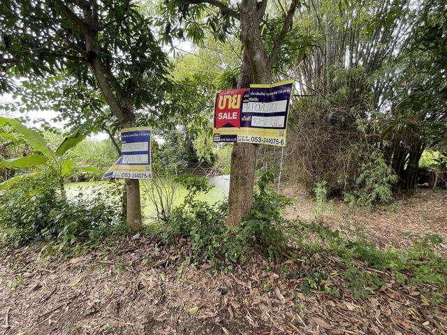 ใช่ 💟 ที่ดินเปล่า ลำพูน 💟 รูปที่ 1