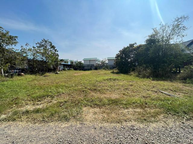 ใช่ 💟 ที่ดินเปล่า บุรีรัมย์ 💟 รูปที่ 3