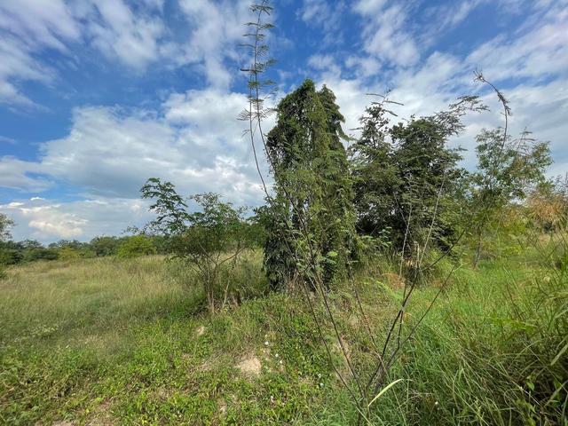 ใช่ 💟 ที่ดินเปล่า โครงการบ้านไร่ริมธาร ลำพูน 💟 รูปที่ 3