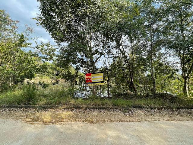 💟 ที่ดินเปล่า โครงการบ้านไร่ริมธาร ลำพูน 💟