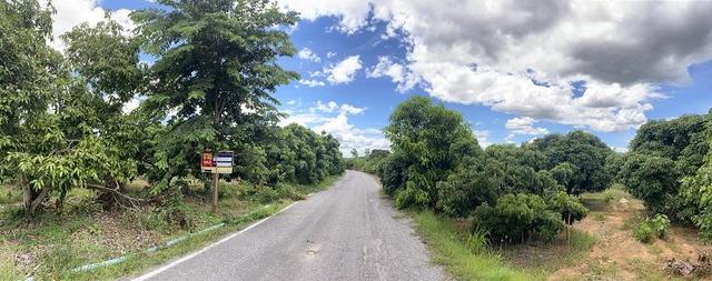 ใช่ 💟 ที่ดินเปล่า ลำพูน 💟 รูปที่ 4