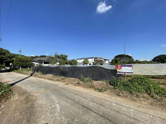 ใช่ 💟 ที่ดินเปล่า โครงการริมปิงการ์เดนรีสอร์ท เชียงใหม่ 💟 รูปที่ 3