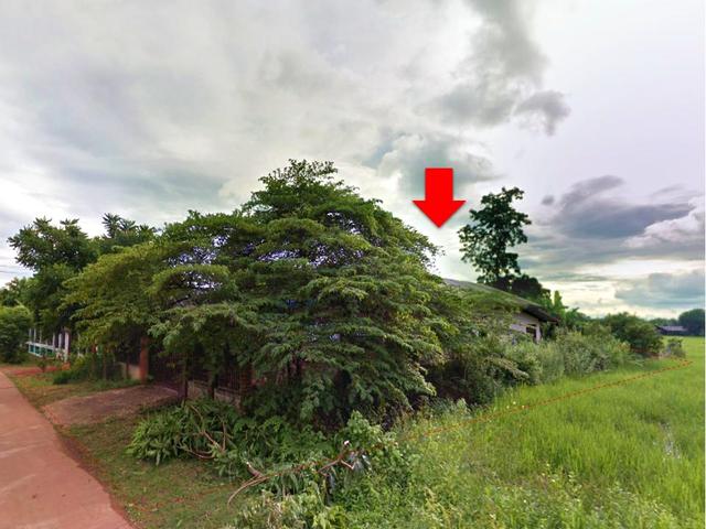 āđāļāđ ð āļāđāļēāļāđāļāļĩāđāļĒāļ§ āļŠāļ§āđāļēāļāđāļāļāļāļīāļ āļŠāļāļĨāļāļāļĢ ð āļĢāļđāļāļāļĩāđ 3