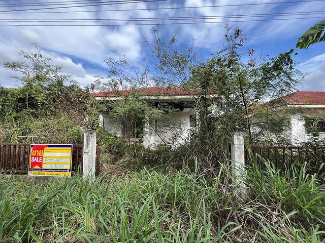 ใช่ 💟 บ้านเดี่ยว โครงการรัญจวนแลนด์ โชคชัย 💟 รูปที่ 1