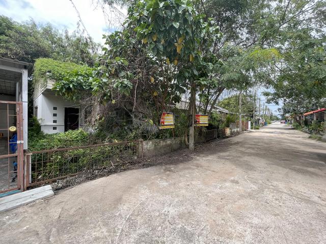 āđāļāđ ð āļāđāļēāļāđāļāļ āđāļāļĢāļāļāļēāļĢāļāļāļĄāļŠāļīāļ āļāļāļĢāļĢāļēāļāļŠāļĩāļĄāļē ð āļĢāļđāļāļāļĩāđ 2