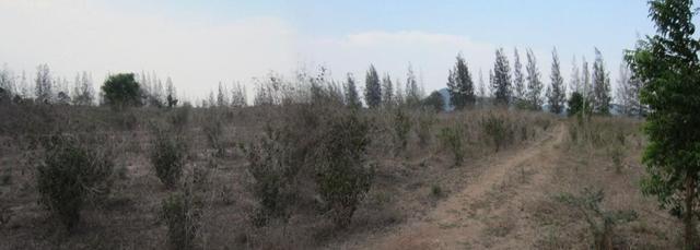 ใช่ 💟 ที่ดินเปล่า โครงการเทคโนโลยีฮิลล์ กาญจนบุรี 💟 รูปที่ 4