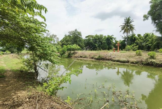 ใช่ 💟 ที่ดิน พระนครศรีอยุธยา 💟 รูปที่ 4