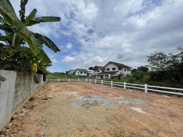 ใช่ 💟 ที่ดินเปล่า พิษณุโลก 💟 รูปที่ 3