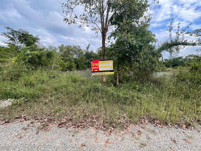 ใช่ 💟 ที่ดินเปล่า โครงการบ้านไร่ริมธาร ลำพูน 💟 รูปที่ 4