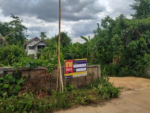 ใช่ 💟 บ้านเดี่ยว โครงการบ้านดงลาน เชียงราย 💟