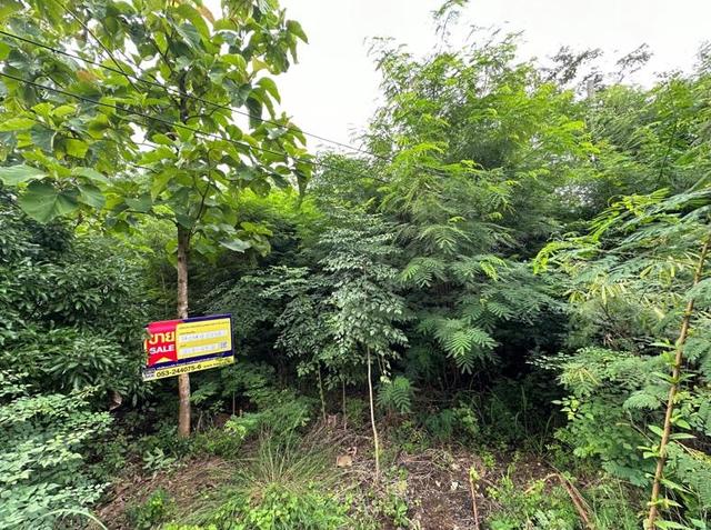 💟 ที่ดินเปล่า โครงการม่อนจอมทอง 2 เชียงใหม่ 💟