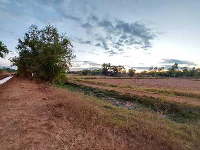 ใช่ 💟 ที่ดินเปล่า สกลนคร 💟 รูปที่ 3