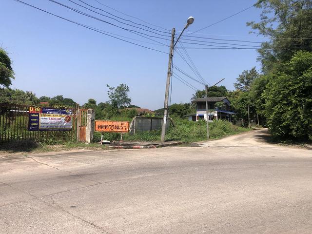 ใช่ 💟 ที่ดินเปล่า เพชรบูรณ์ 💟