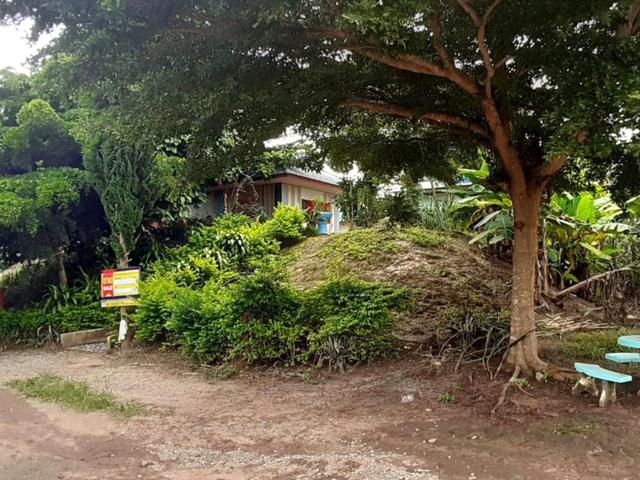 ใช่ 💟 บ้านเดี่ยว บ้านศรีดอนมูล เชียงราย 💟