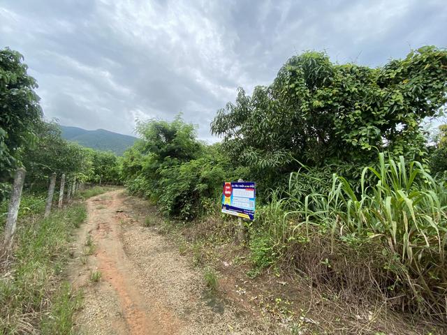 ใช่ 💟 ที่ดินเปล่า โครงการบ้านดงห้วยเย็น ลำพูน 💟 รูปที่ 3