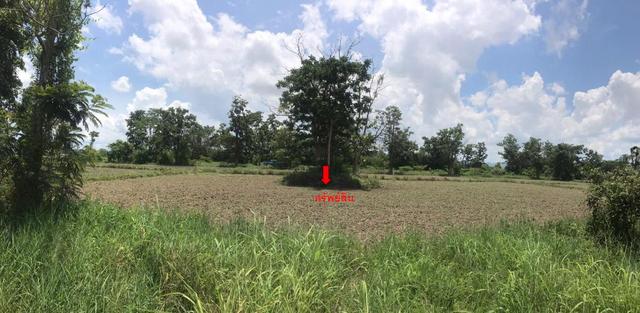 ใช่ 💟 ที่ดินเปล่า เชียงใหม่ 💟 รูปที่ 4