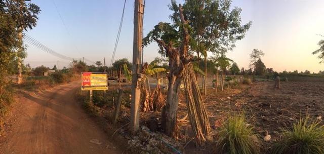 ใช่ 💟 ที่ดินเปล่า บุรีรัมย์ 💟 รูปที่ 1