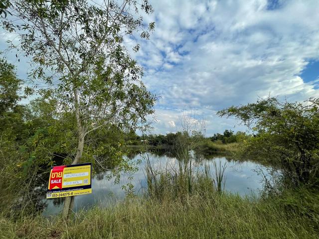 ใช่ 💟 ที่ดินเปล่า โครงการบ้านไร่ริมธาร ลำพูน 💟 รูปที่ 4